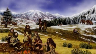 Фото - Современные люди и неандертальцы смешались друг с другом?